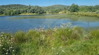 Hoy segamos en una finca con unos parajes muy bonitos😉👍 [upl. by Ecnarretal]