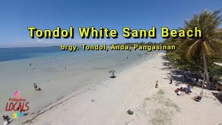 Tondol White Sand Beach  Anda Pangasinan  Philippine Locals [upl. by Leihcim979]