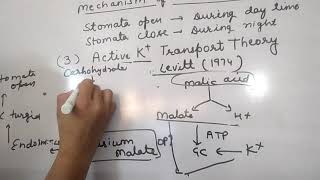 Mechanism of stomatal movement [upl. by Giess291]