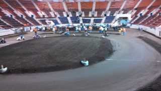 14 Midgets at 2013 Harrisburg Farm Show MCQM [upl. by Aihsemat]