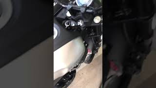 Yamaha XSR155 Sound on Muffler Exhaust Shorts [upl. by Shutz390]