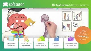 Vom Reiz zum Aktionspotenzial einfach erklärt – Biologie 11  13 Klasse [upl. by Tim466]