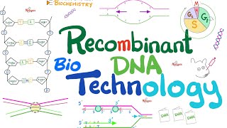 Recombinant DNA technology Biotechnology  Molecular Biology 🧬 amp Biochemistry [upl. by Aniraad]