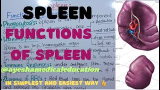 FUNCTIONS OF SPLEEN  SPLEEN ANATOMY 4  ayeshamedicaleducation [upl. by Inglis39]