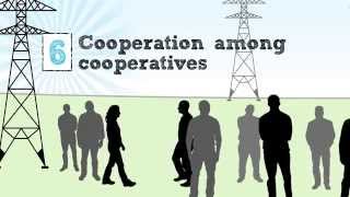 The Cooperative Business Model — The Seven Cooperative Principles [upl. by Honan]