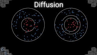 Diffusion on a microscopic level [upl. by Melba]