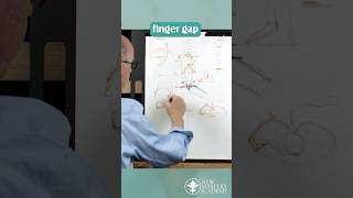 Glenn Vilppu explains the quot3 finger gapquot in figure drawing ✍️ [upl. by Gillespie]