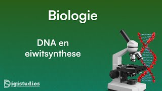 Biologie  DNA en eiwitsynthese [upl. by Tsepmet89]