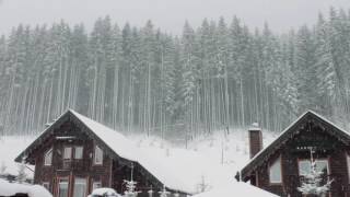 Blizzard Storm Sounds  Relaxing Winter Background Sounds  Heavy Wind amp Snow [upl. by Ahsieni]