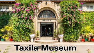 A Visit To Taxila Museum Gandhara Art In PakistanTaxila [upl. by Anayeek166]