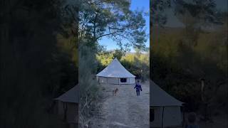 Ein Kinderzimmer mitten im Wald 🌲🏕️ camping zelten outdoor familie inkharmony [upl. by Aruol243]