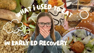 Reacting to my OLD RESTRICTIVE TikToks  ED Recovery  Getting Angry at Myself for 15 min LOL [upl. by Almeeta]