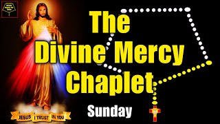 Divine Mercy Chaplet For Today NOVEMBER 15 2024  The Chaplet of Divine Mercy [upl. by Acalia]