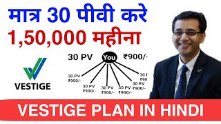 4 Month plan 2 Lakh per Month incom  Vestige plan in hindi  30 pv vestige plan  vestige [upl. by Mauer]