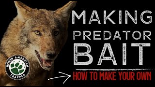 How to make a Predator Bait for Coyote Fox amp Bobcat [upl. by Amaris590]