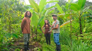 DOCUMENTAL Viva Floresta De MONOCULTIVO a BOSQUE SINTRÓPICO de ALIMENTOS en 15 años Mashpi Ec [upl. by Theodor412]