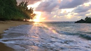 Hawaii Ocean Waves White Noise  Sleep Study Insomnia Relief  Beach Sounds 10 Hours [upl. by Aneles]