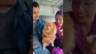 Durgapur theke jokhon maithon jachilam 😍 subscribers dogowner petowner funny dog animalowner [upl. by Einnaej]