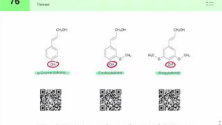 Lignin Aufbau und Biosynthese [upl. by Ahsinaj]