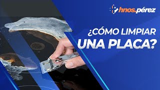 🔴 Como limpiar una placa vitroceramica o de inducción [upl. by Gnilrits]