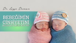 Bebeğimin Cinsiyetini Belirleyebilir Miyim [upl. by Drarrej]