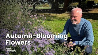 Fall in Love with These AutumnBlooming Flowers [upl. by Keefer]