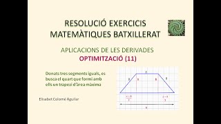 Elisabet Colomé  OPTIMITZACIÓ 11 [upl. by Eneleh592]