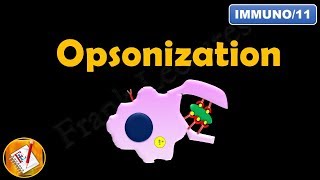 Opsonization FLImmuno11 [upl. by Kelula]