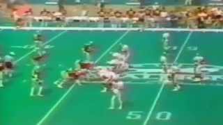 1984  USFL Divisional Playoffs Tampa Bay Bandits vs Birmingham Stallions [upl. by Lucille]