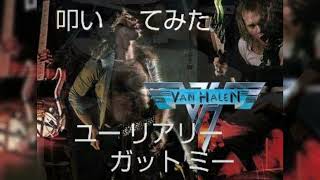 叩いてみた VAN HALEN〖You Rreally Got Me〗 [upl. by Thormora]