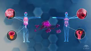 Homologous Recombination Deficiency  Central Principles of Molecular Biology [upl. by Lemart]