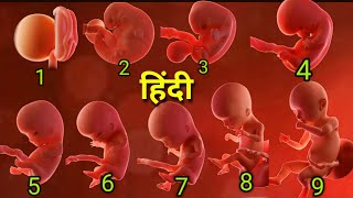 1 to 9 months baby development in hindi1 to 9 months pregnant baby size in hindi1 to 9 months baby [upl. by Mariand]