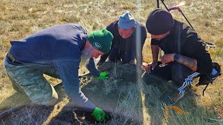 Comori și Istorie Ascunsă Descoperiri Incredibile în Pădure și pe Câmp alături de RO Detecting [upl. by Singleton]