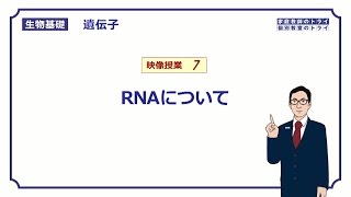 【生物基礎】 遺伝子7 RNAについて （１３分） [upl. by Mayor]