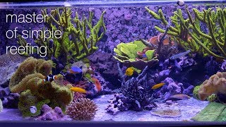 Amazing Aquariums amp Reefs Lives Up To Its Name [upl. by Menides]