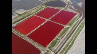 Salt lake turns brilliant colors in north China [upl. by Aneert]