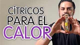 Top 3 fragancias cítricas de hombre para el calor y para iniciar una colección [upl. by Zerat400]