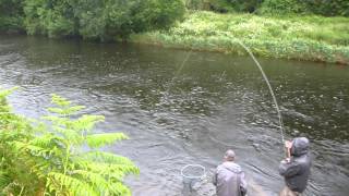 Salmon fishing on the Bandon River Clonakilty bass angling guide [upl. by Win859]