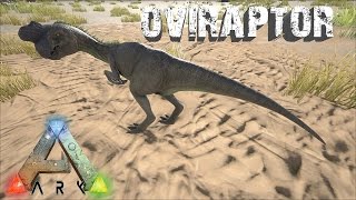 Ark Survival Evolved  Oviraptor  Useful or Disappointing [upl. by Willing613]