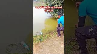 fishing traditionalfishingmethods fishingvideo fishingtecnique fish katlamach [upl. by Lisle29]