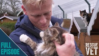 Welcome To The Shropshire Cat Rescue Retirement Village [upl. by Oicneserc]