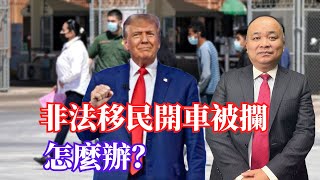 非法移民開車被攔怎麼辦？ [upl. by Fazeli979]