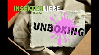 ❌UNBOXING  Liebe auf den ersten Blick [upl. by Lennor]