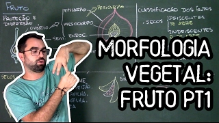 Organologia do Fruto Morfologia pt1  Aula 20 Botânica Prof Guilherme [upl. by Ris414]