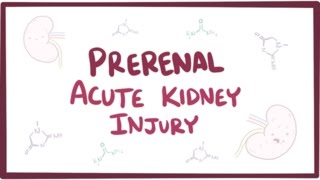 Prerenal acute kidney injury acute renal failure  causes symptoms amp pathology [upl. by Ydnis]