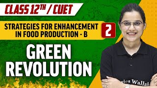 Strategies For Enhancement In Food ProductionB 02  Green Revolution  Class 12thCUET [upl. by Jacquette]