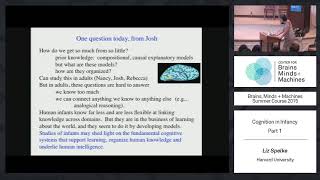 Lecture 31 Liz Spelke  Cognition in Infancy Part 1 [upl. by Adnirb]