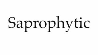 How to Pronounce Saprophytic [upl. by Francisca]