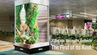 The First 3D Anamorphic Illusion Content in Changi Airport Terminal 2  JCDecaux Singapore [upl. by Karyl]