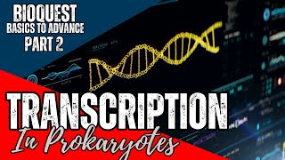 Transcription in Prokaryotes  Part 2  Transcription  CSIR NET December 2024  Basics to Advance [upl. by Eelac829]